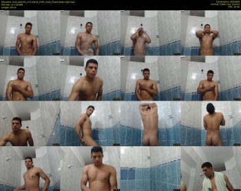 max_teamm