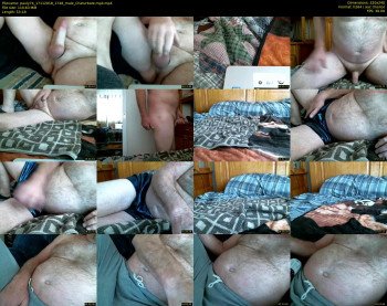 pauly74