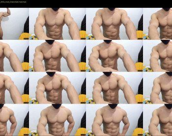 promuscles4u