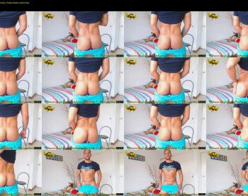 fit_owl