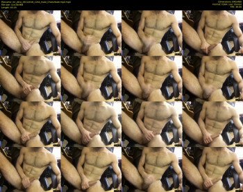 mr_zbra