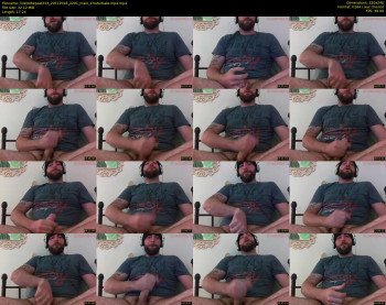 linktothepast233