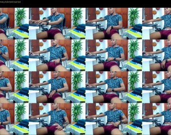 mojoel