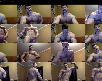 panda_muscle