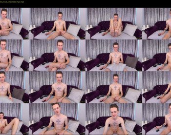 andy_shark