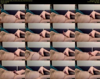 beerbellycub94