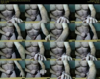 furrybear2