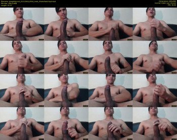 gregobigcock