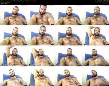 hot_hetero_bear