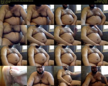 italian_bear