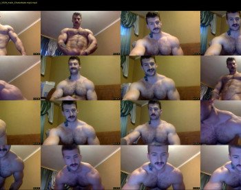 panda_muscle