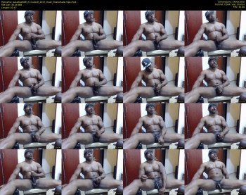 paradise699
