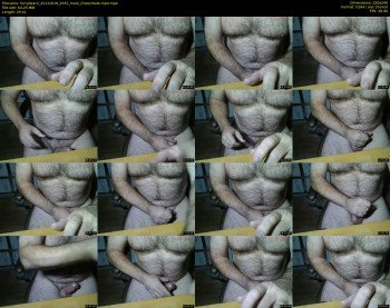 furrybear2