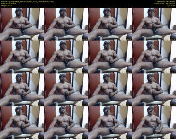 paradise699