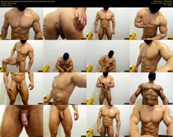 promuscles4u