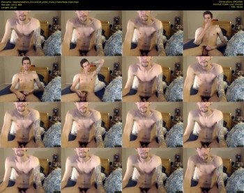 stephonstallion