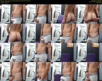 willy_grey