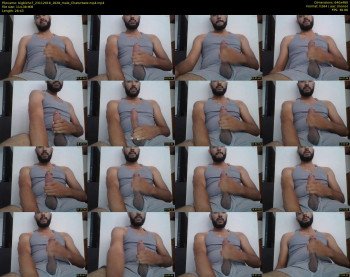 bigbicho7