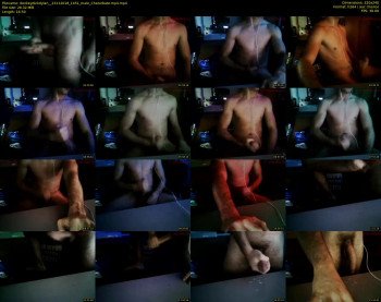 donkeydickdylan_