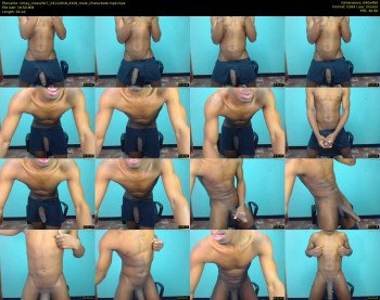 rimay_moss2017