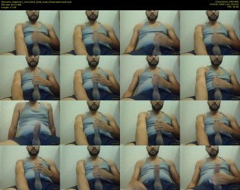 bigbicho7