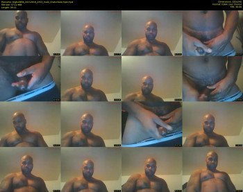 bigbull856