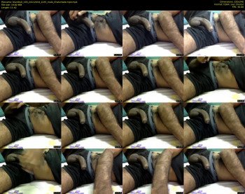 blackbull_193