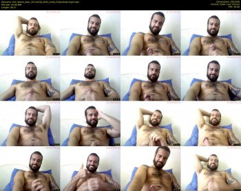hot_hetero_bear
