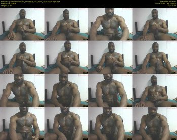pantherforever207