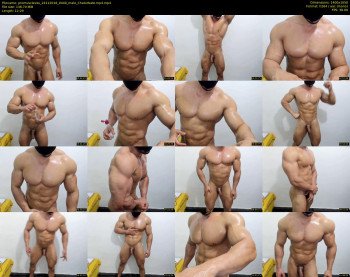 promuscles4u
