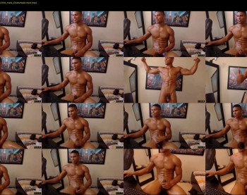teddyfit19cm