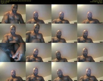 bigbull856