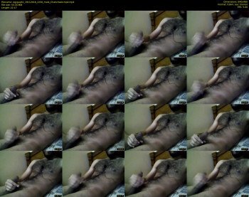 egyguy61