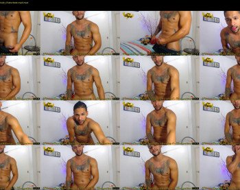 fit_owl