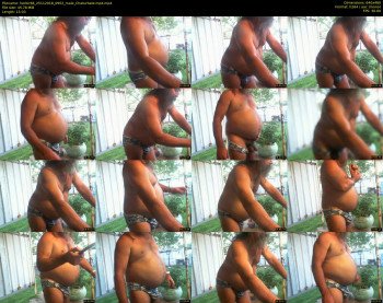 herbir66