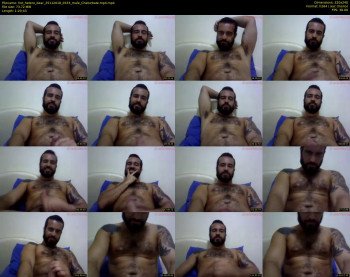 hot_hetero_bear