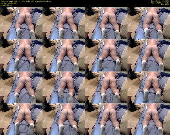 steverbear