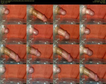 taconightporno