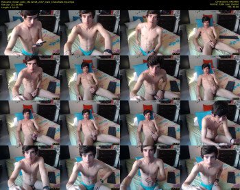 mister_pollo