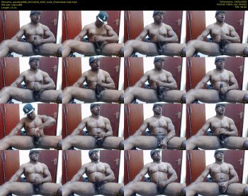 paradise699