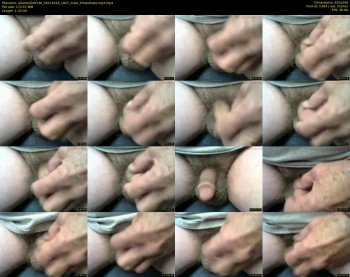 silverbullett130
