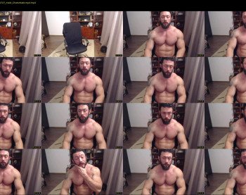 stevebulkzor