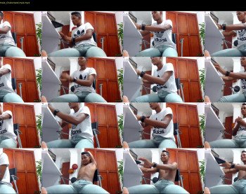 mojoel