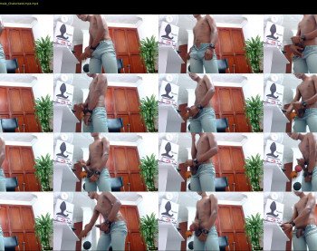 mojoel