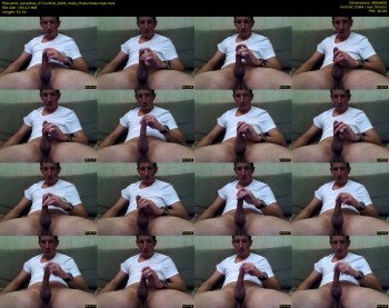 pavelloss