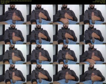 bigbicho7