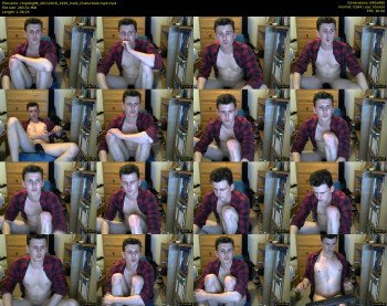 chipdog96