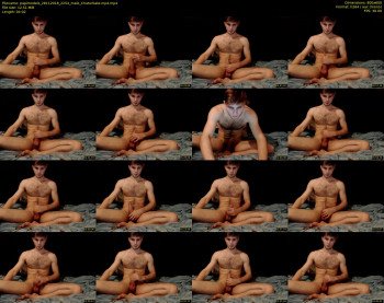 papimodels