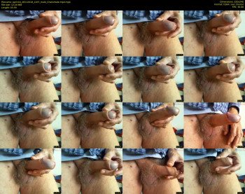 pprick4