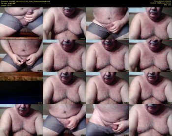 tbear66